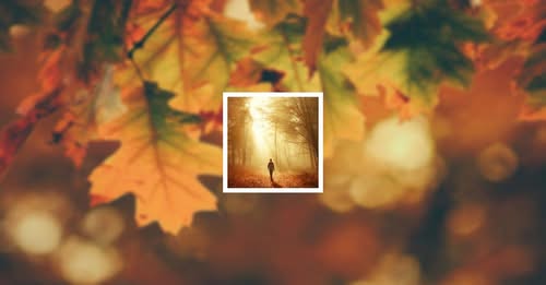 Cole Hiemer Omaha, NE Tragic Loss: Cole Hiemer’s Sudden Passing At 32 Leaves Family And Friends In Deep Sorrow – Read More