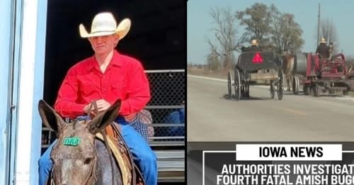 Elmer Borntrager Clarke County, IA Homicide (Hit-and-Run) – Elmer Borntrager 16-Year-Old Killed in Horse-Drawn Buggy Hit-and-Run, Cowardly Driver Flees Scene