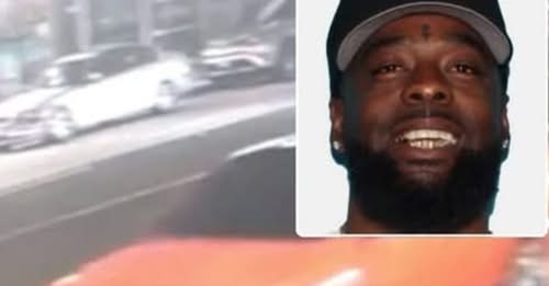 Maura Cohen & Brad Lipshy Santa Monica CA Homicide – Maura Cohen & Brad Lipshy 61 KILLED on SIDEWALK by WRONG-WAY Driver: Suspect Alex Kirksey Arrested After Fleeing to CHICAGO