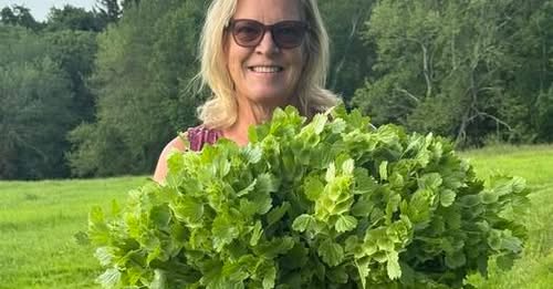 Heidi Luck Bolton, CT Sudden Death – Heidi Luck Beloved Third-Generation Farmer’s Unexpected Passing Devastates Flower Farming Community